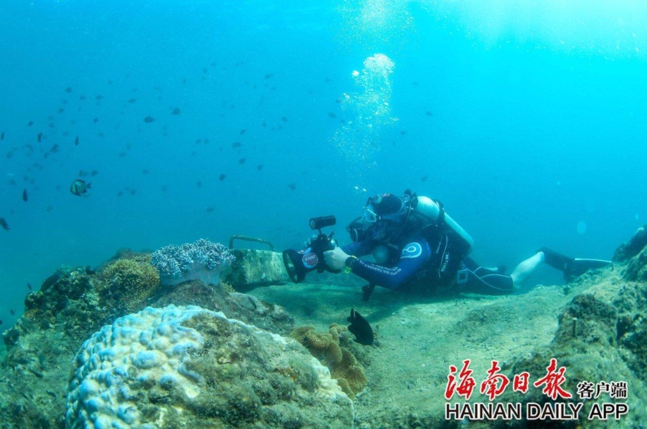 被禁止的道路