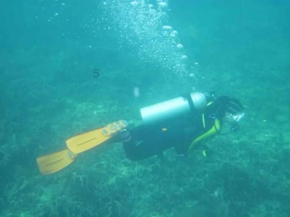 高原之宝(08402):唐继德辞任独立非执行董事