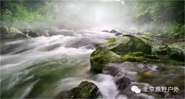 37岁女星庄群施拍戏中猝死：细节曝光，令人惋惜不已