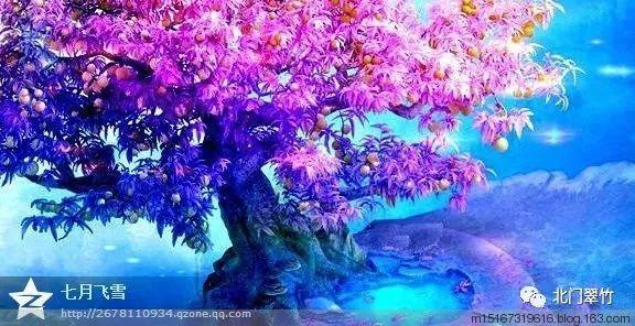 五彩鹦鹉救援